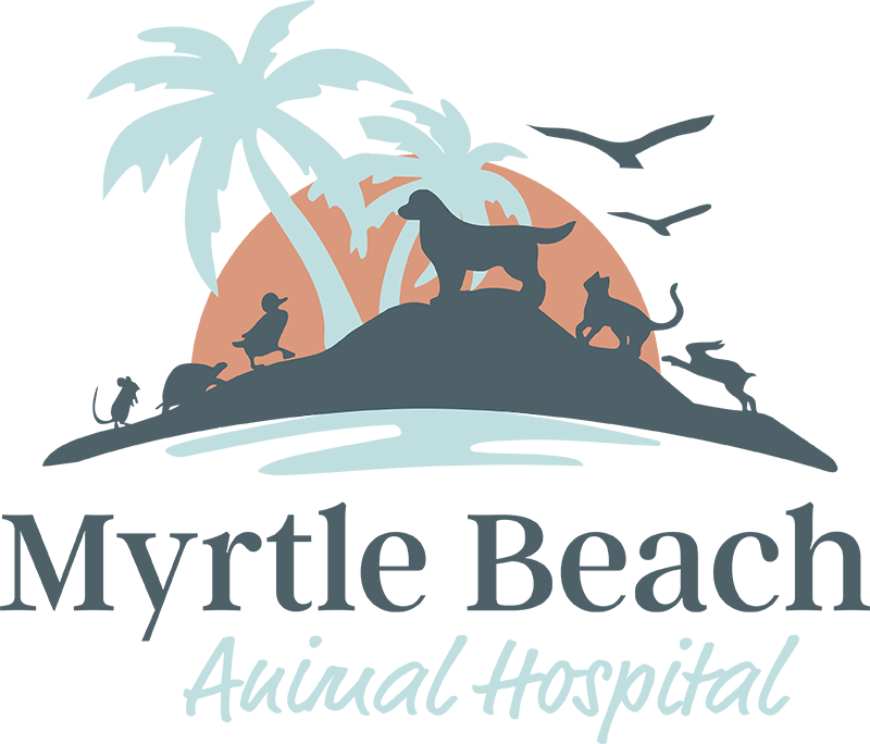 Myrtle Beach Animal Hospital
