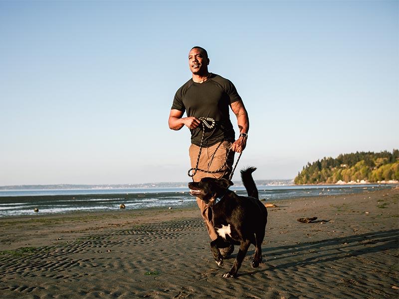 A dog on a beach run